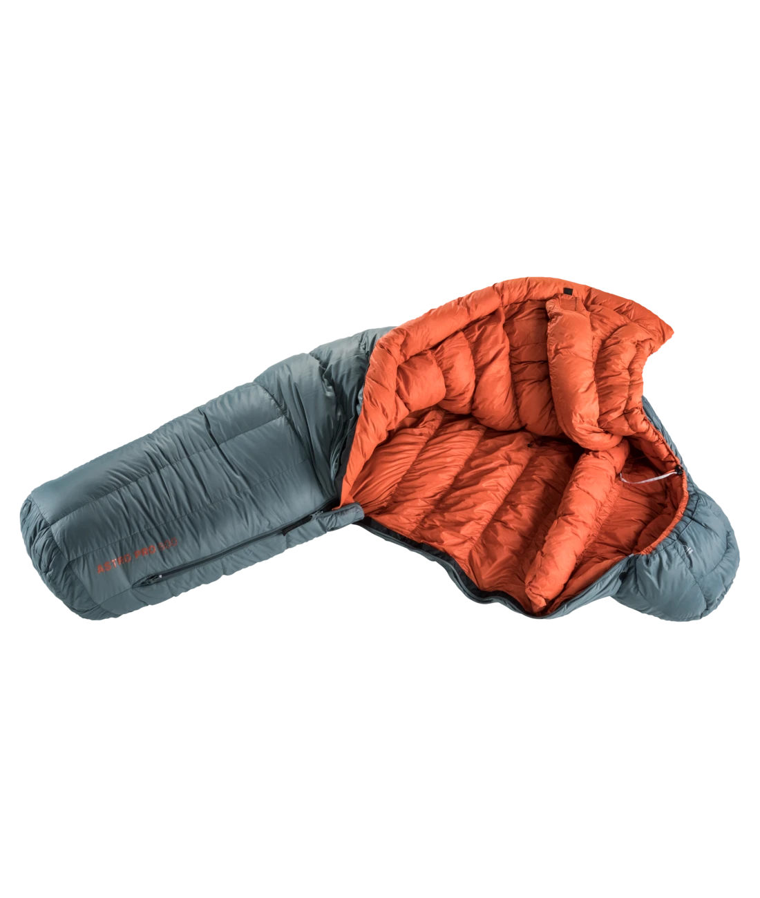 Deuter Astro Pro 600 Large 4 Deuter Astro Pro 600 Large – Bild 2